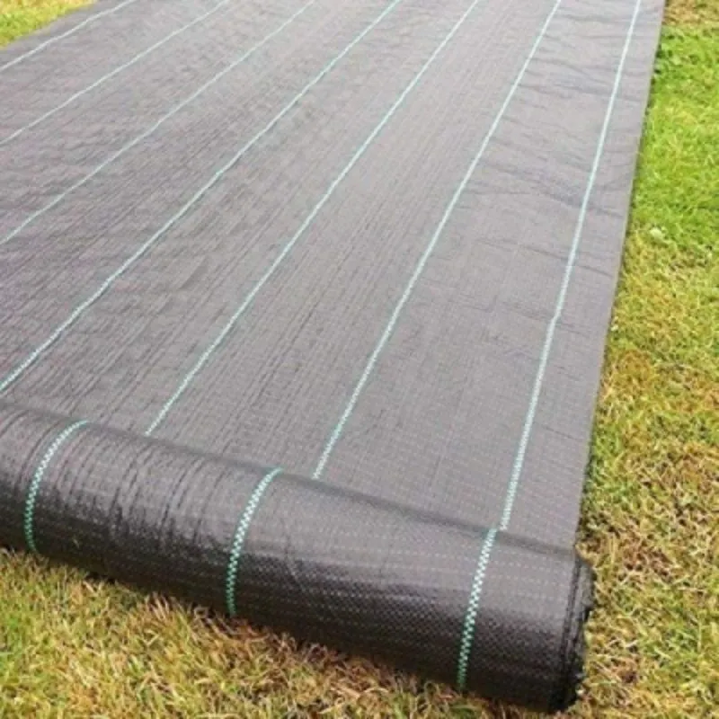 Mulch Sheet Polythene Black 2m - Bosworths Garden Centre